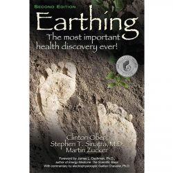 book-english-earthing-320-p-clinton-ober-s-stephen-m-zucker-265735_2000x